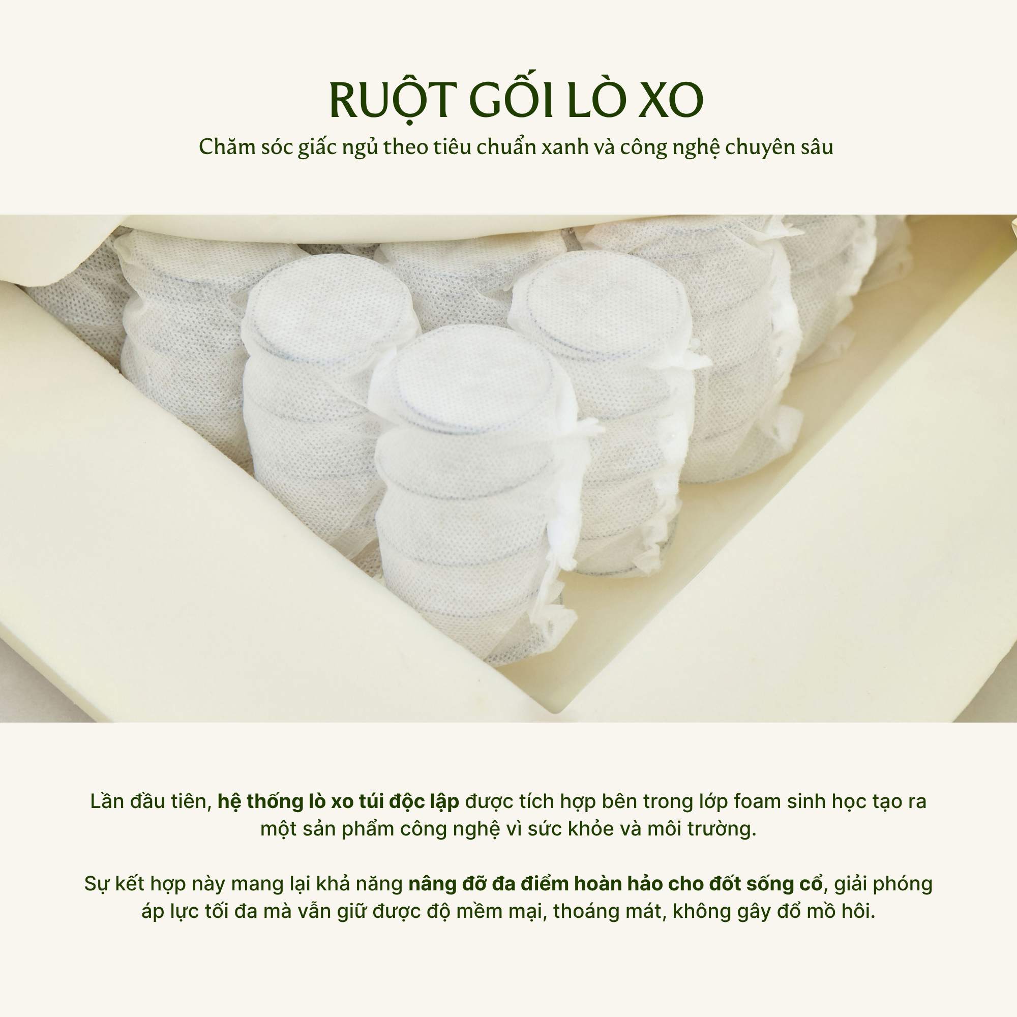 Cấu tạo ruột gối lò xo